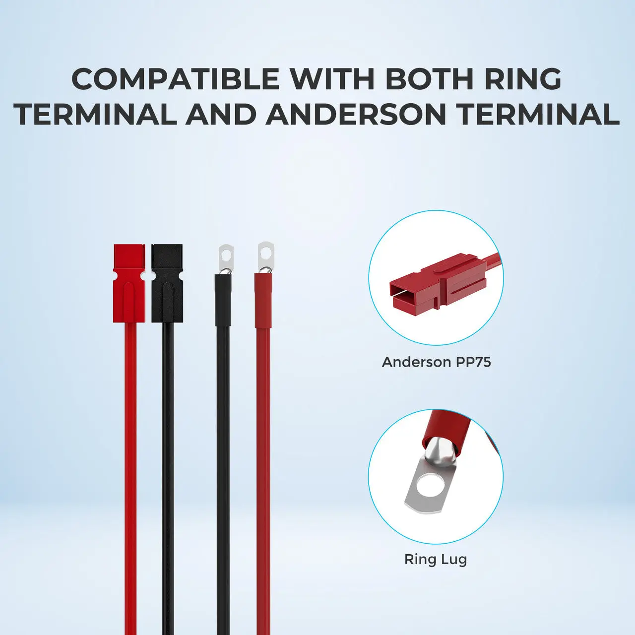 Renogy 10FT 6AWG Anderson Adapter Cable(Anderson PP75 - 3/8 in Lugs) - Image 3